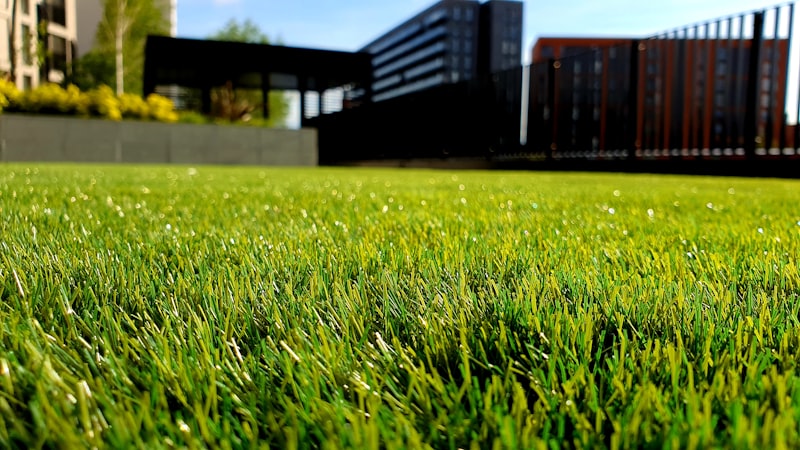 Lawn