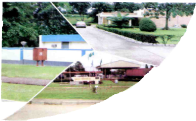 Landscape project